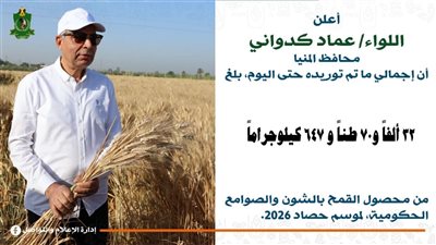 استمرار توريد القمح 2026.. شون وصوامع المنيا تستقبل 32 ألف طن