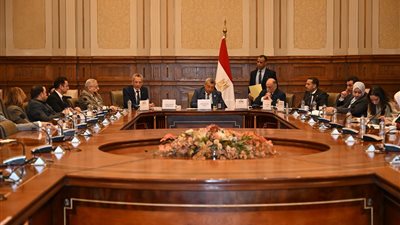 «الشيوخ» يوافق نهائيًا على تعديلات قانون التأمينات والمعاشات