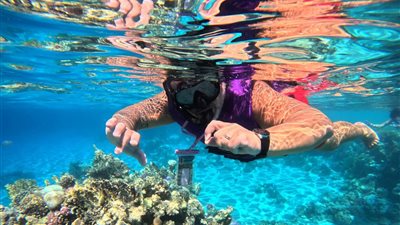 شمندورات ذكية ومراقبة إلكترونية للمراكب.. خطة حكومية عاجلة لتنظيم الغوص بشرم الشيخ