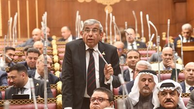 عضو بالشيوخ يطالب بتفعيل قوانين مواجهة المراهنات وتطوير الإدارة بمراكز الشباب