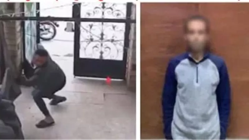 المتهم والواقعة