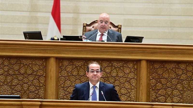 وزير المالية أمام النواب