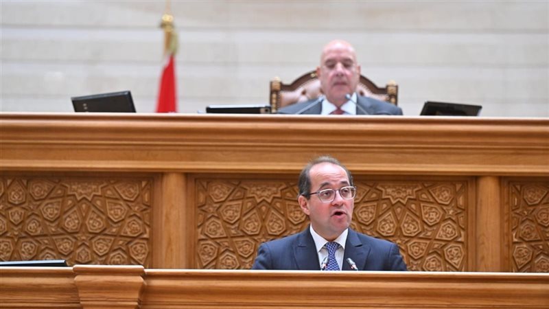 جانب من الجلسة 