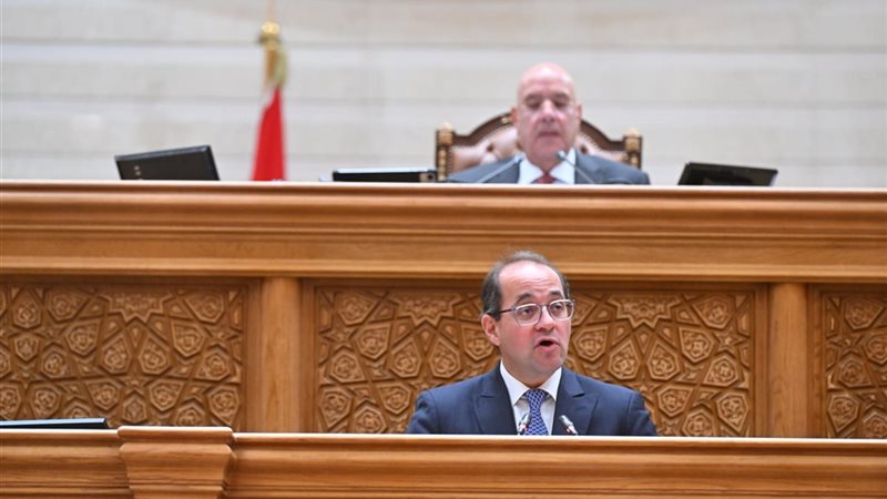 وزير المالية أمام