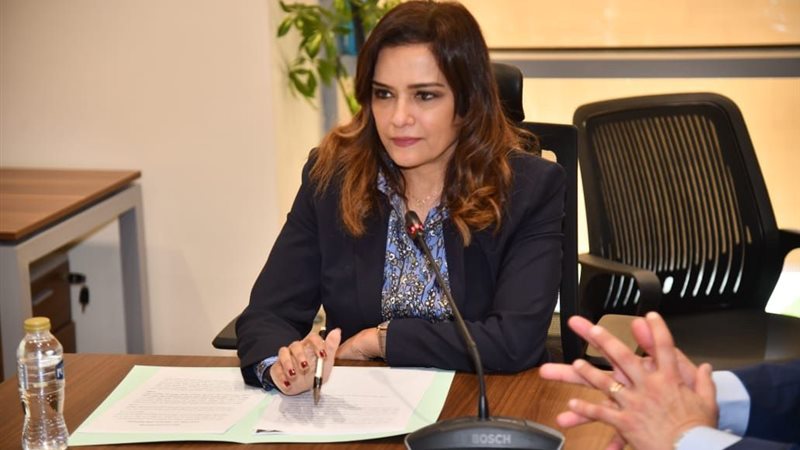 النائبة سحر طلعت