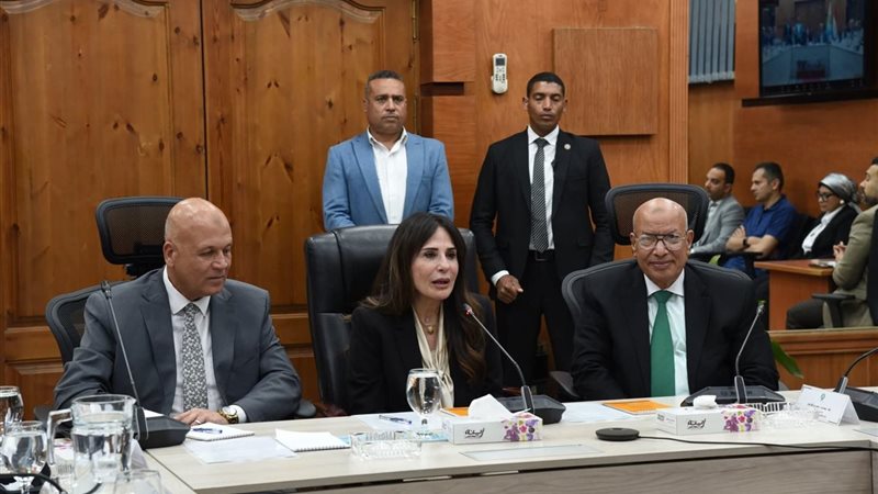 وزيرة الإسكان 