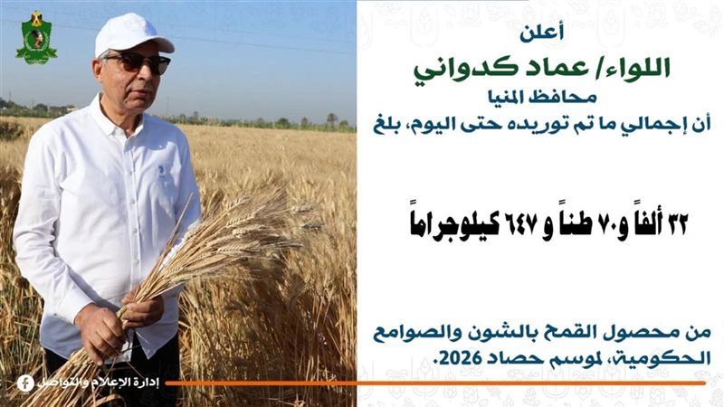 القمح _ محافظة المنيا 