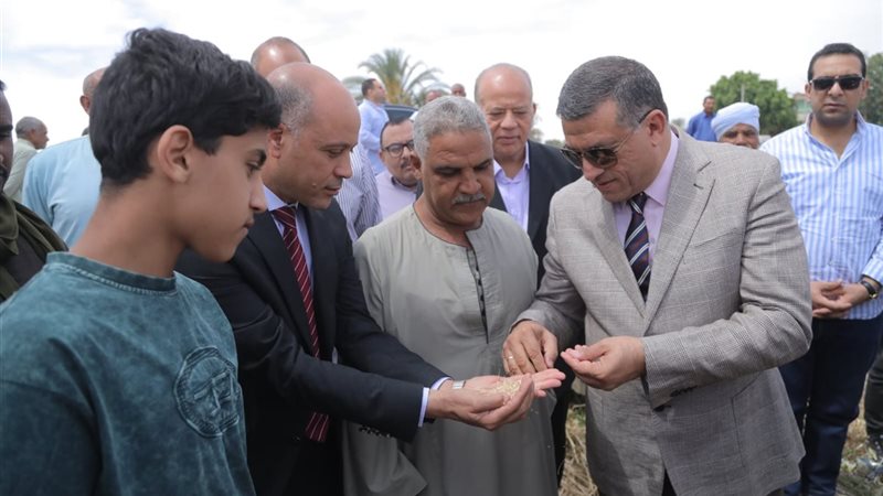 بدء توريد محصول القمح