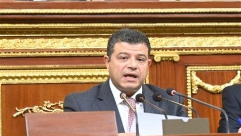 النائب محمد سليمان،