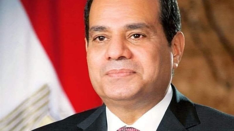 رئيس الجمهورية 