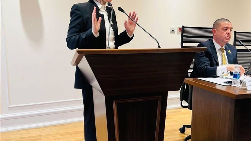 النائبة صافيناز طلعت