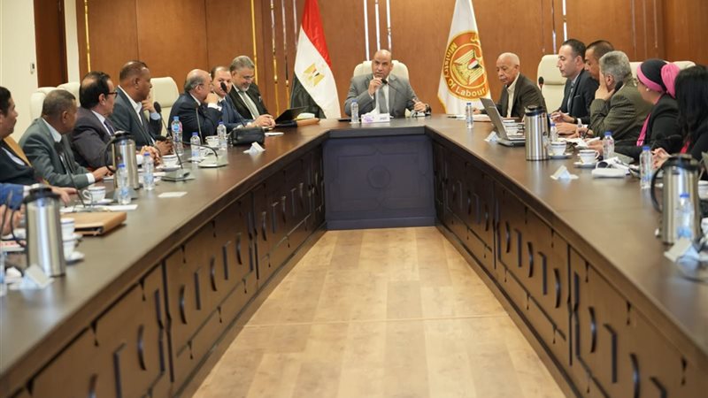 وزارة العمل 