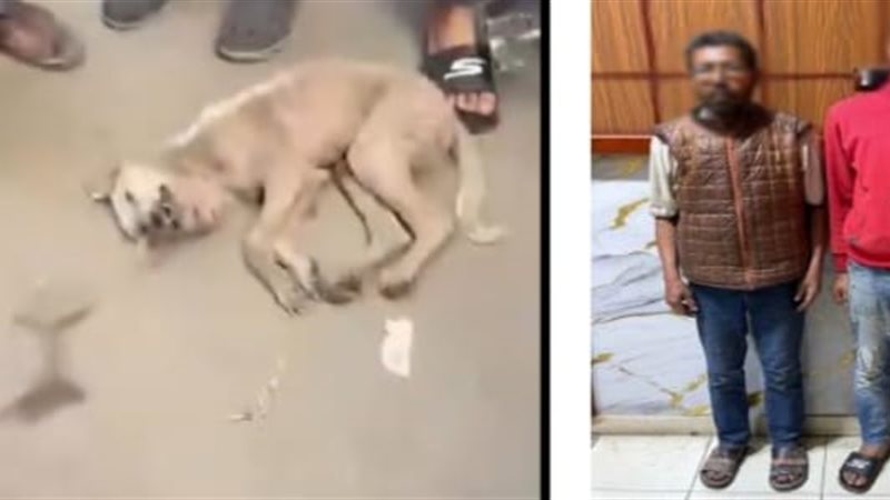 المتهمين والواقعة