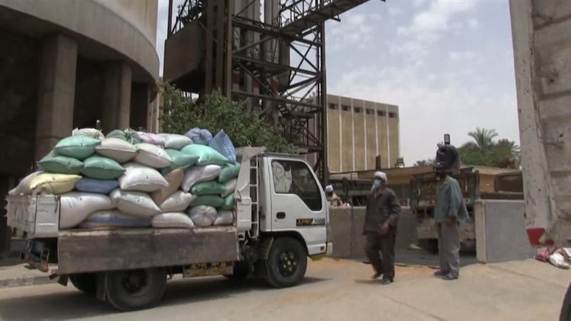 توريد القمح بسوهاج