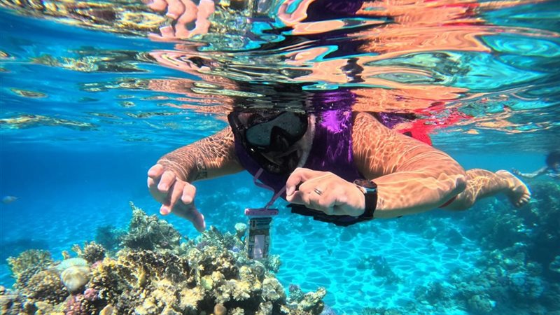 وزارة التنمية المحلية