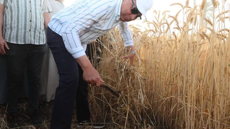 محافظ المنيا يشارك