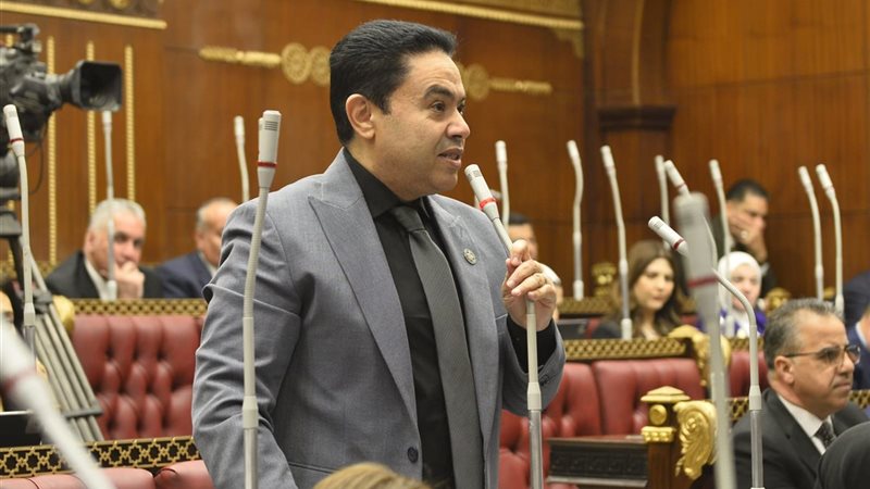 النائب إسماعيل الشرقاوي