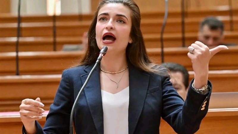 النائبة ايرين سعيد، عضو مجلس النواب 