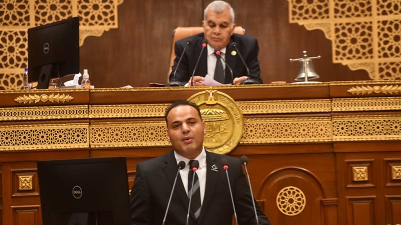  النائب الحسيني الليثي