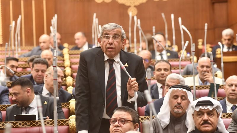 علاء عبد النبى