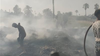 إصابة 3 سيدات ونفوق ماشية وأغنام.. ننشر الصور الأولى لحريق 5 منازل بقنا