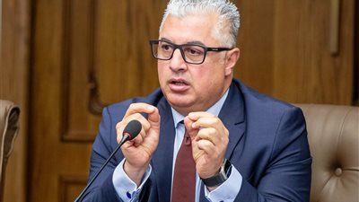 وليد جمال الدين: مشروع 