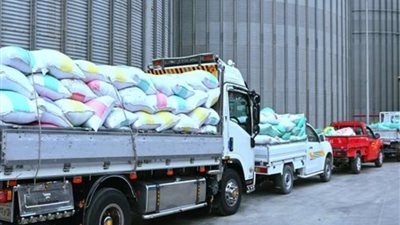 توريد 12.2 ألف طن قمح بالبحيرة واستمرار انتظام عمليات الاستلام