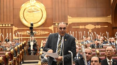 الصحة محتاجة فلوس أكتر عشان نضمن علاج كويس.. رجائي يطالب برفع مخصصات الصحة في الموازنة الجديدة 