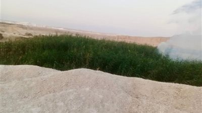 اندلاع حريق هائل بمنطقة مخلفات الصرف الصحي في سمالوط