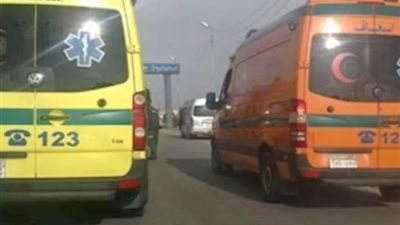 مصرع شخص وإصابة 11 آخرين في حادث مروع بطريق أبو المطامير – النوبارية بالبحيرة