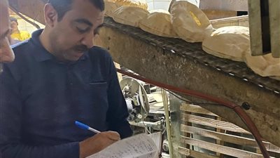 تحرير 22 مخالفة تموينية بمخابز طلخا ونبروه