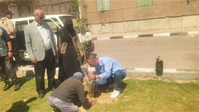 جامعة قناة السويس تنظم يومًا بيئيًّا موسعًا لزراعة الأشجار بحي ثالث الإسماعيلية