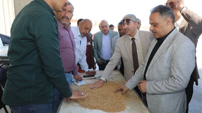محافظ الشرقية يُتابع أعمال موسم حصاد وتوريد محصول القمح ويتفقد أعمال مشروع تسمين الماشيه بمركز أبوحماد
