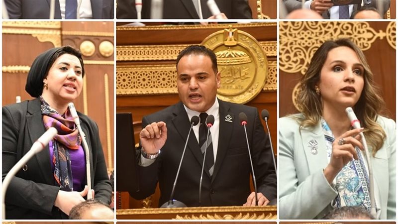 نواب التنسيقية