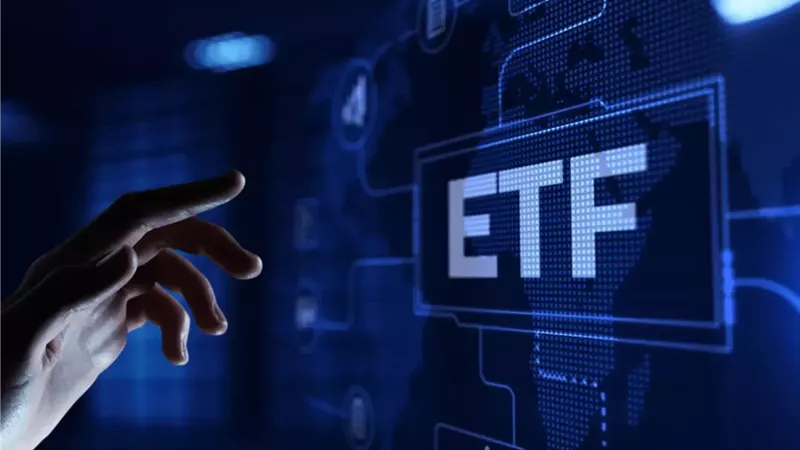 مخاطر صناديق السيولة