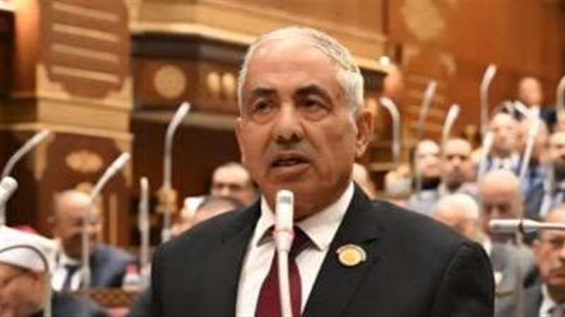 النائب أحمد العوضي،