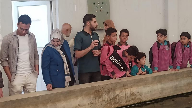 جانب من الفاعليات