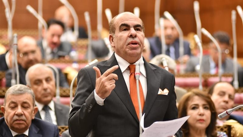 النائب ياسر الهضيبي ،عضو مجلس الشيوخ 