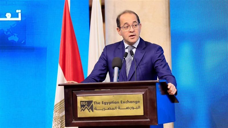 وزير المالية