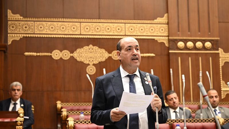 النائب أحمد سيد،