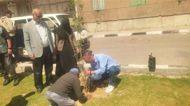 جانب من زراعة الاشجار