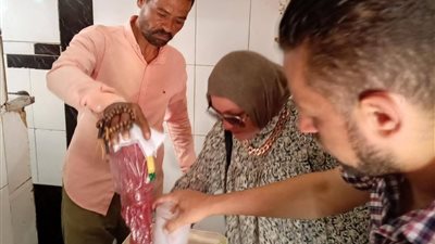 إعدام ربع طن أغذية فاسدة وتحرير 48 محضرًا في مغاغة بالمنيا