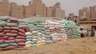 53 ألف طن قمح مُورد بأسيوط وحصاد 45 ألف فدان من بداية الموسم