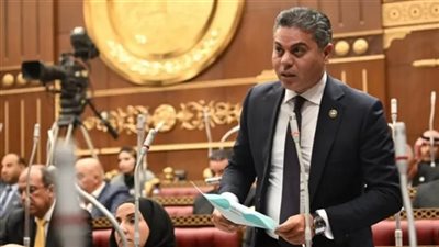 لمنع ضياع مليارات الدولارات.. تحرك برلماني عاجل حول آليات الترويج لمبادرات المصريين بالخارج