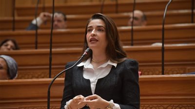 برلمانية: تعديلات التأمينات «مخيبة للآمال».. ونطالب بدراسات اكتوارية تضمن عدالة الزيادات