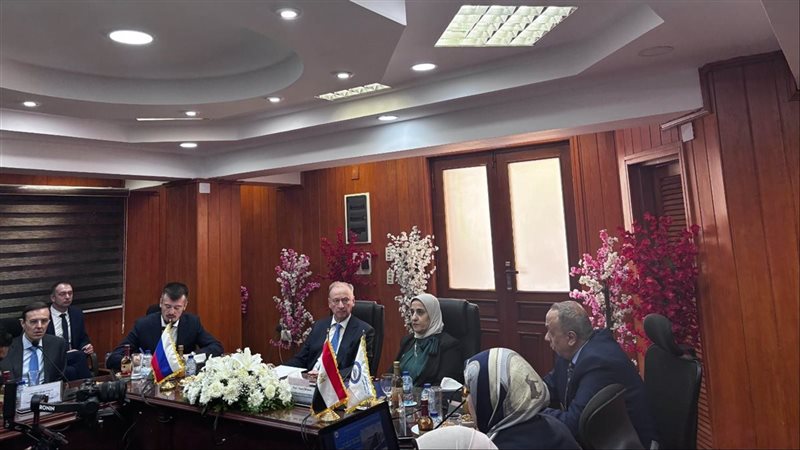 الاسكندريه 