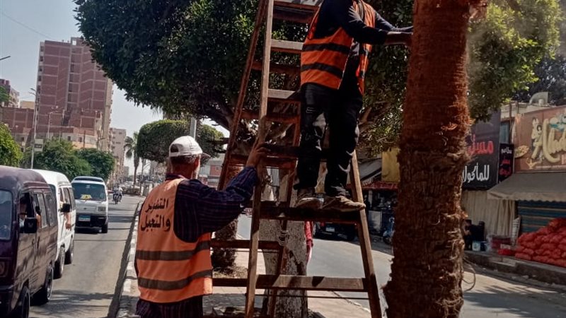 جانب من أعمال التجميل