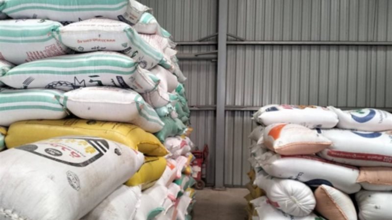 توريد القمح 