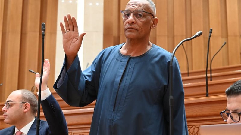 النائب مدحت ركابي،