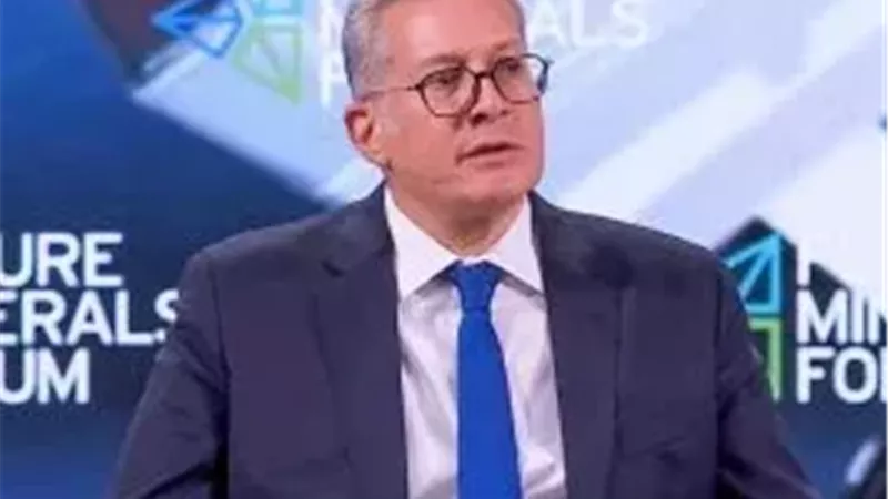 المهندس كريم بدوي